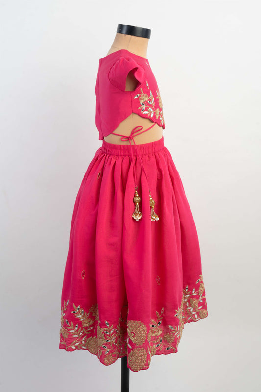 Pink Dori Embroidered Ghaghra