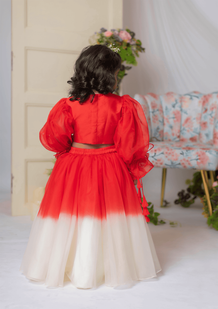 Red And White Embroidered Blouse With Ghaghra And Dupatta