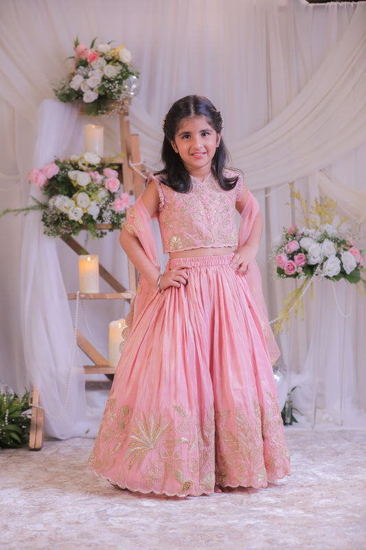 Peach Shimmery Embroidered Top With Shimmery Flared Lehenga And Dupatta