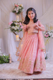 Peach Shimmery Embroidered Top With Shimmery Flared Lehenga And Dupatta