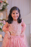 Peach Shimmery Embroidered Top With Shimmery Flared Lehenga And Dupatta