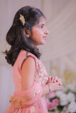 Peach Shimmery Embroidered Top With Shimmery Flared Lehenga And Dupatta