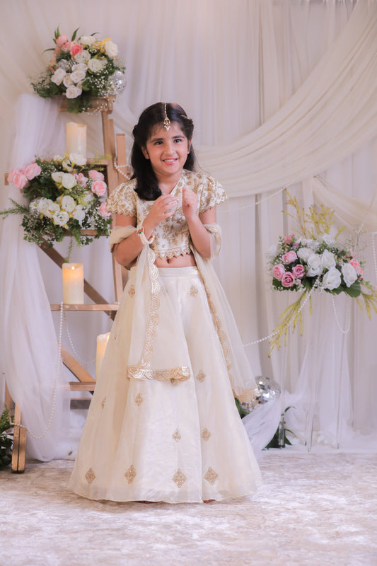 Beige Shimmery  Embroidered Ghaghra set