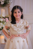 Beige Shimmery  Embroidered Ghaghra set