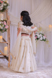 Beige Shimmery  Embroidered Ghaghra set