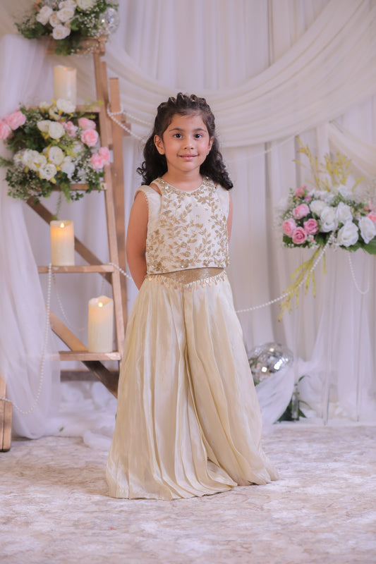 Shimmery Beige Embroidered Top With Palazzo