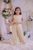 Shimmery Beige Embroidered Top With Palazzo