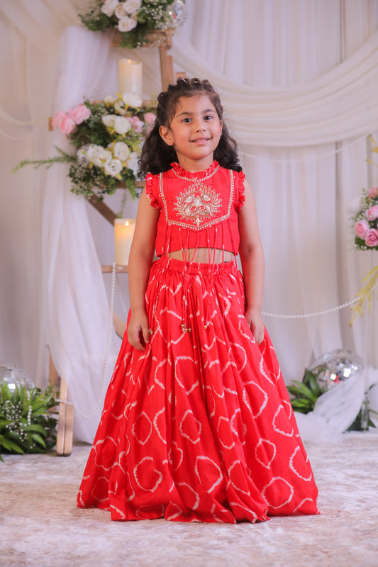 Red Bandhej Embroidery Ghagra Set