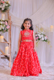 Red Bandhej Embroidery Ghagra Set
