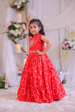 Red Bandhej Embroidery Ghagra Set