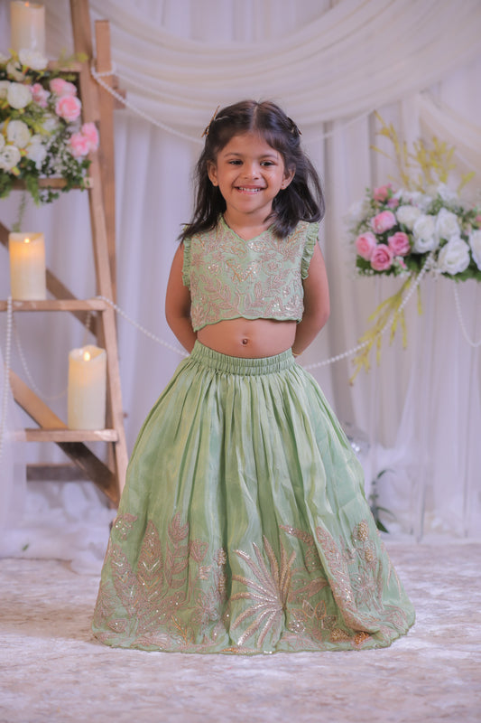 Green Shimmer Silk Embroidered Ghaghra with Dupatta