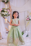 Green Shimmer Silk Embroidered Ghaghra with Dupatta