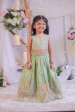 Green Shimmer Silk Embroidered Ghaghra with Dupatta