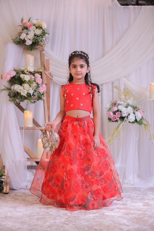 Organza Heart Ghaghra
