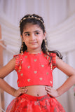 Organza Heart Ghaghra