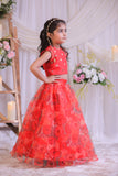 Organza Heart Ghaghra
