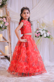 Organza Heart Ghaghra