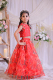 Organza Heart Ghaghra