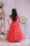 Organza Heart Ghaghra