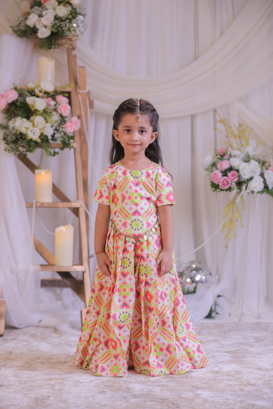 Ikkat Palazzo Set