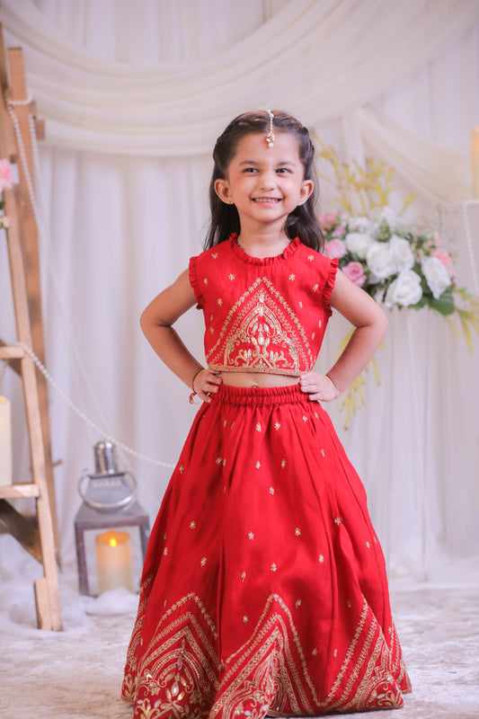 Embroidered Red Top With Lehenga