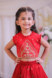 Embroidered Red Top With Lehenga