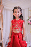 Embroidered Red Top With Lehenga