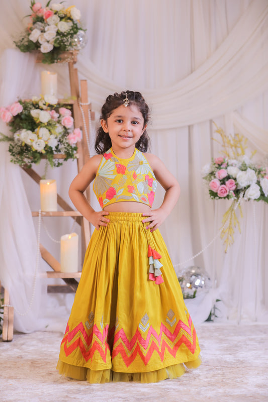 Mustard Multi colored Applique Ghaghra Set