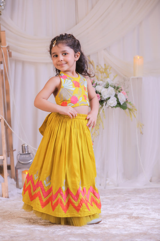 Mustard Multi colored Applique Ghaghra Set