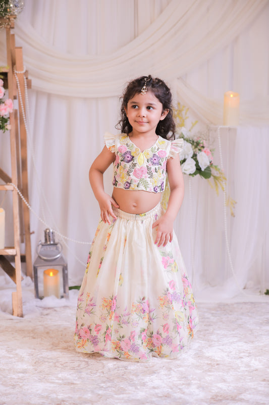 Digital Organza Ghaghra