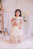 Digital Organza Ghaghra