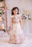 Digital Organza Ghaghra