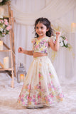Digital Organza Ghaghra