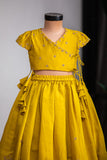 Mustard Dori Ghagra