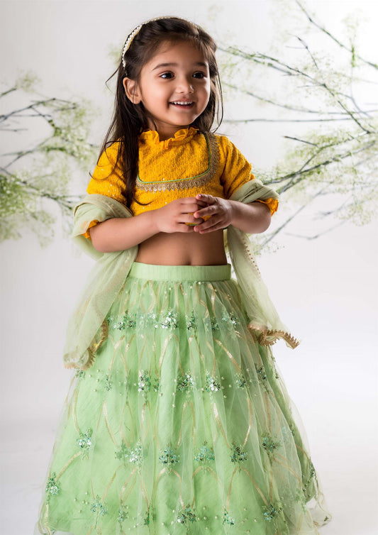 Yellow Chikankari Blouse with Green Heavy Lehenga Set