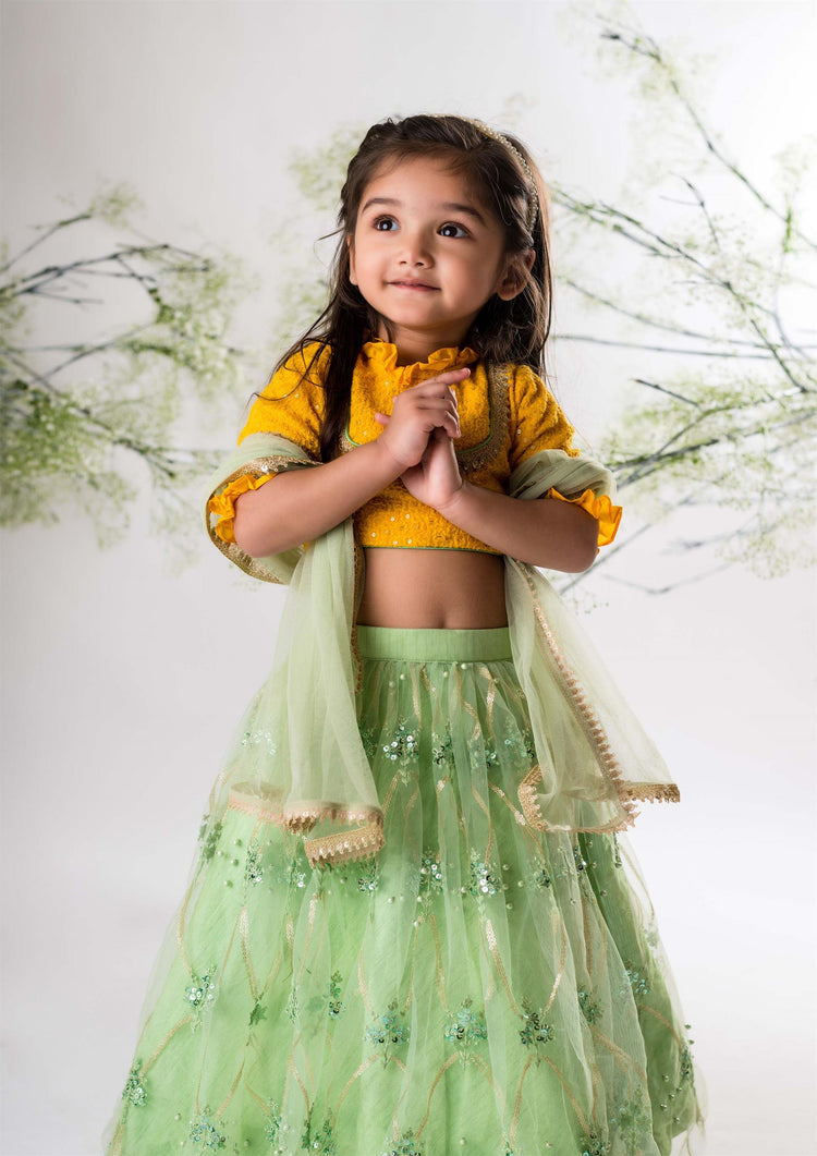 Yellow Chikankari Blouse with Green Heavy Lehenga Set