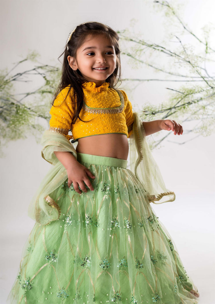 Yellow Chikankari Blouse with Green Heavy Lehenga Set