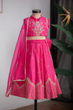 Pink Temple Embroidered Ghagra