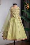 Green Hand Embroidered Kali Ghagra