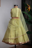 Green Hand Embroidered Kali Ghagra