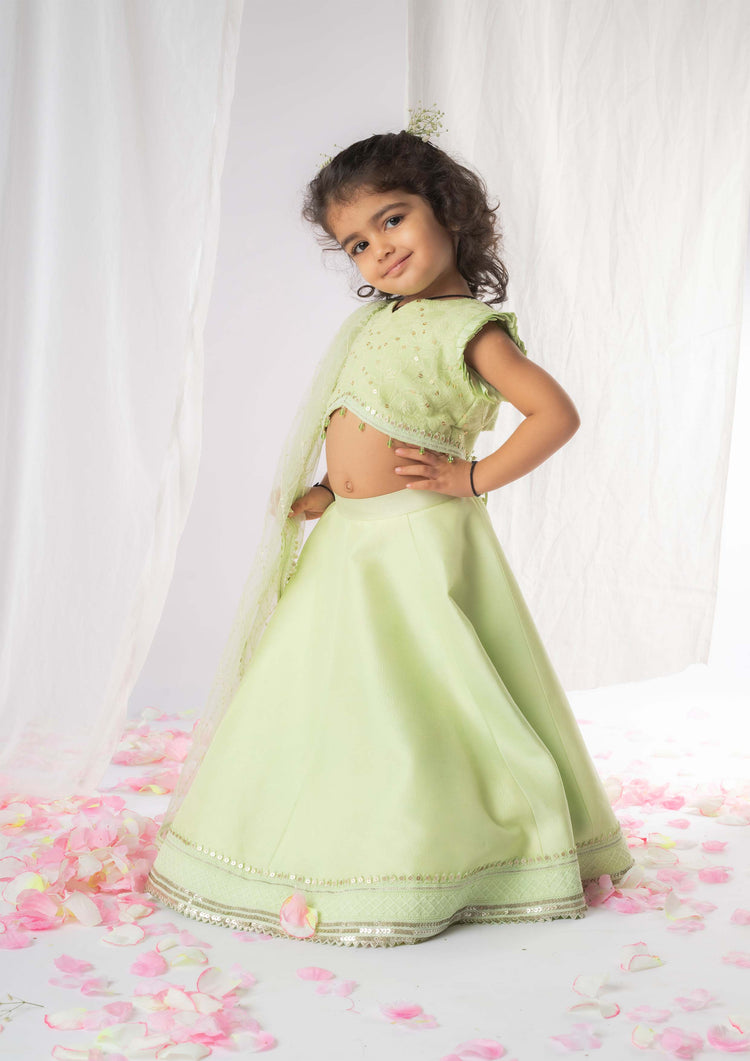 Green Chikankari Ghaghra Set