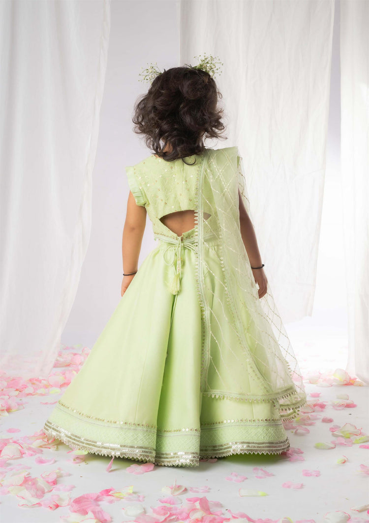 Green Chikankari Ghaghra Set