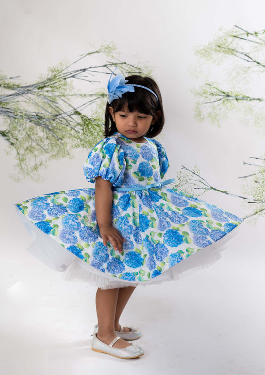 Blue Floral Printed Dress