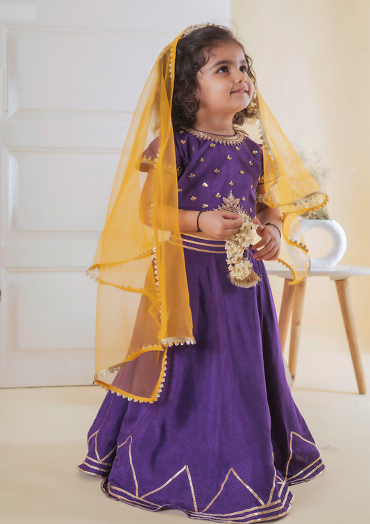Purple Buta Embroidered Ghaghra Set