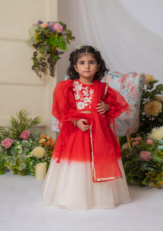 Red And White Embroidered Blouse With Ghaghra And Dupatta