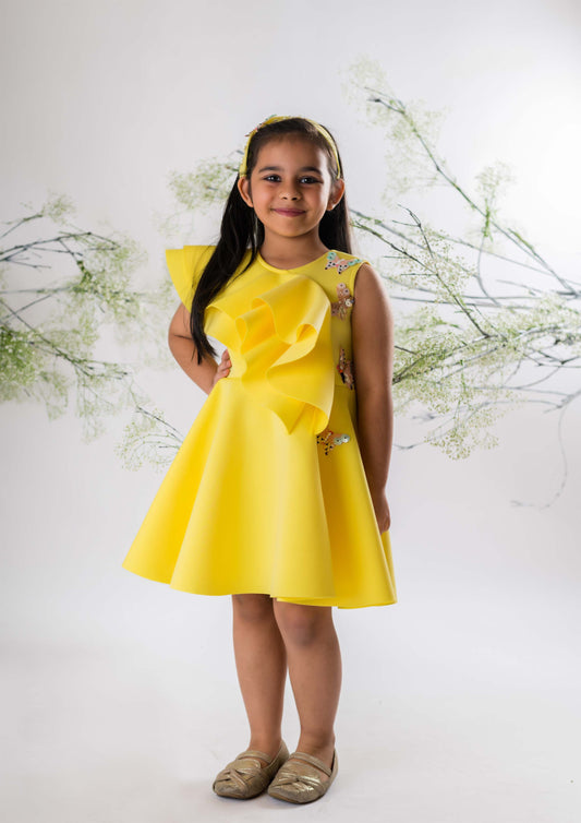 Yellow Butterfly Embroidered Dress