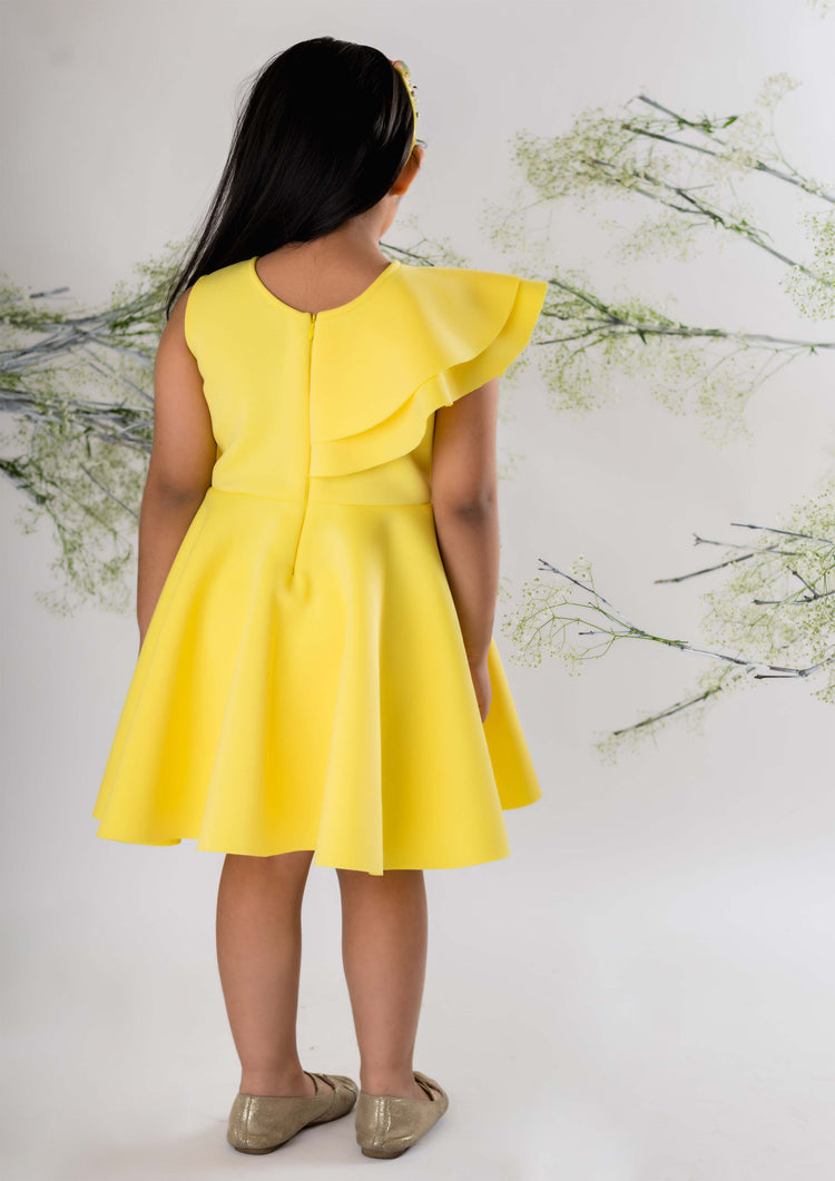 Yellow Butterfly Embroidered Dress