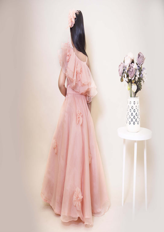 Peach Feather Gown